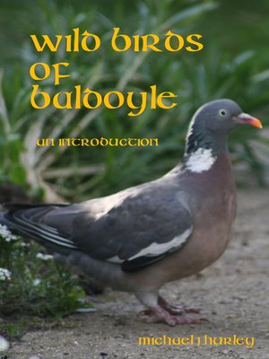 cover image of Wild Birds of Baldoyle